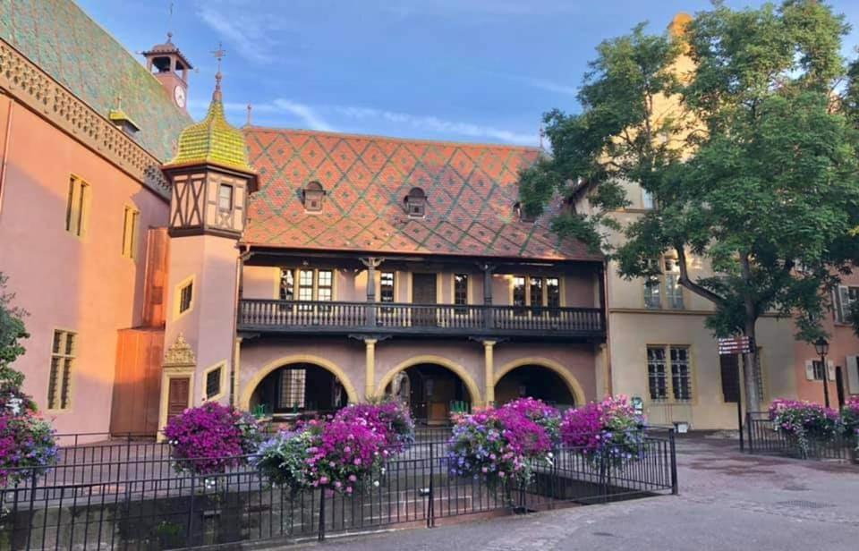 L'Ourson Apartment Colmar Bagian luar foto