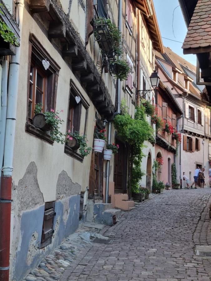 L'Ourson Apartment Colmar Bagian luar foto