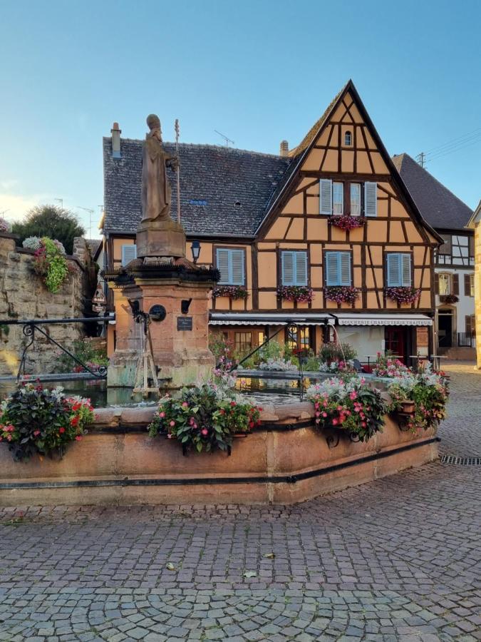 L'Ourson Apartment Colmar Bagian luar foto