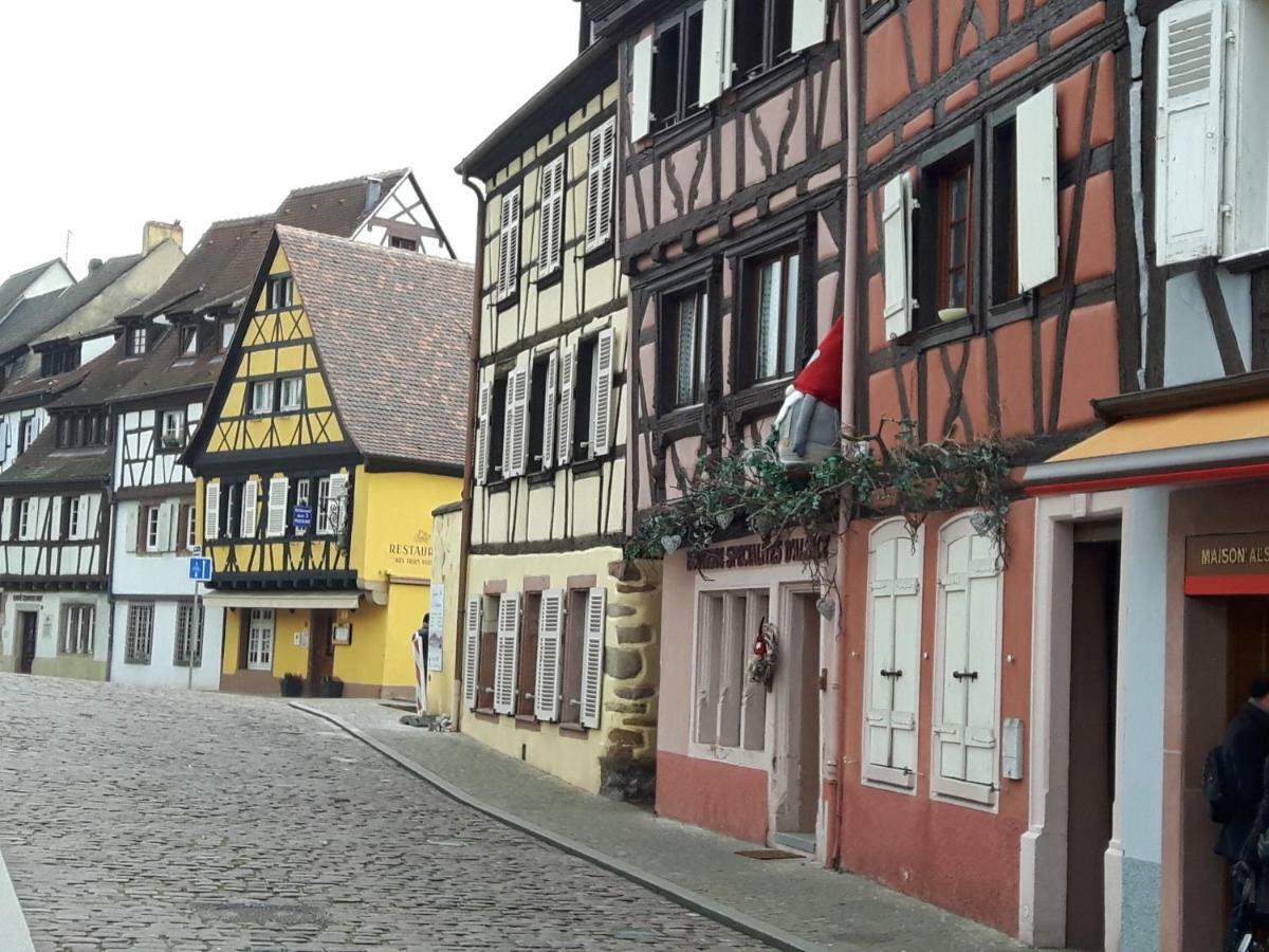 L'Ourson Apartment Colmar Bagian luar foto